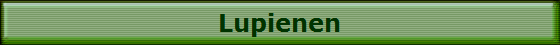 Lupienen
