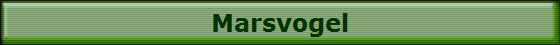 Marsvogel